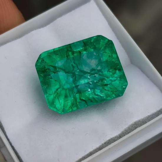 10.02ct Green Emerald Rare Natural w/ Gem ID Card