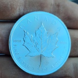 Canadian $5 Coin Maple Leaf 1oz Silver Round .9999 Super Premium Brilliant White Unc