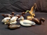 Duck Collection Figures 7 Units