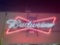 Budweiser neon sign 31in long 11in tall