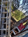 Lot of Ladders 6 Units