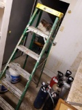 Davidson 6ft Ladder