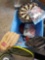 Sports lot Head Ti Agassi pro Racket Baseball gloves Sportcraft Dart board Darts and Flights. Tennis