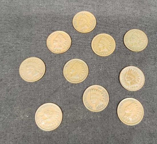 1890s Indian Head pennies