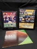 Danny Kanell NY Giants plaque. Superbowl 50 Champions Panthers vs. Broncos 13 & 15in Tall