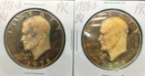 2 1978-s Eisenhower dollars Rainbow tone