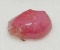 4.73cts Rough Red Ruby gemstone