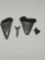 Megalodon shark tooth Fossils lot of 4
