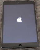 Apple Ipad Mini 2 A1490