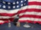 Americana Liberty Collectible Lot.