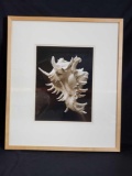 Wood Framed and matted art