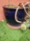 Lg Blue planter pot