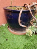 Lg Blue planter pot