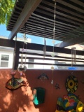 Hanging yard items parrot chimes more