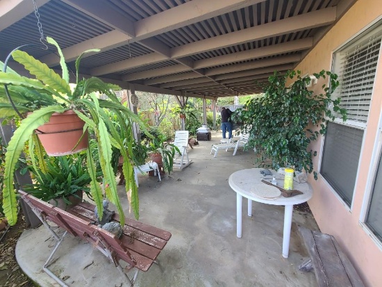 Backyard - Gas BBQ Grill, Large Potted Plants, Religious Statues, Wood Benches, Swings, etc.