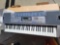 Casio LK-100 Electronic Keyboard