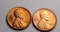 Wheat cent lot of 2 gem bu deep reds from obw rolls 1954 d 1950 d ms+++++++ original pq