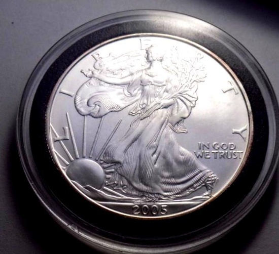 American silver eagle 2005 blazing gem bu blast white 1 troy oz fine silver round