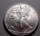 American silver eagle 1 troy oz round frosty white gem bu beauty 2010