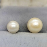 2 Pearls beautiful whites 6.50ct