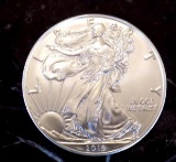 American silver eagle 2019 frosty white gem bu blazing 1 troy oz round