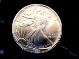 American silver eagle 1991 key date frosty white gem bu blazing 1 troy oz round