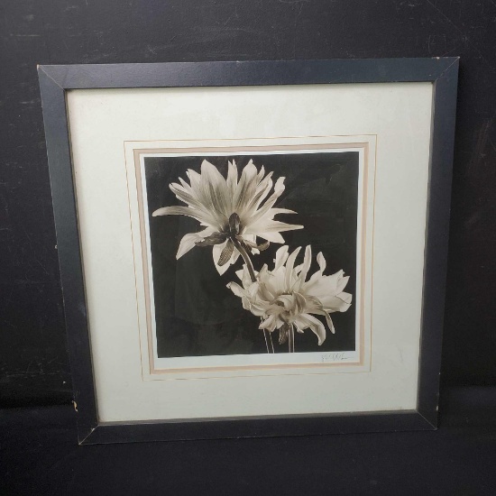 Framed art of 2 Chrysanthemums with signature