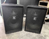 Carvin LS1202 Speaker Set. 4ft tall