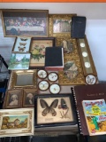 Vintage Prints Books Butterflies Taxidermy Goodwill Location