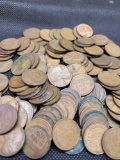 Over 100 Unsearched Wheat Cents 350++ Grams