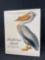 Vintage Audubon Birds of America Giant Book 1981