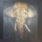 Oil/canvas artwork of elephant head w/signature and date