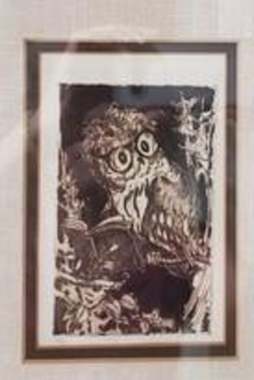Brown Etching Of Owl, Framed On Fabric, Unsigned, Untitled