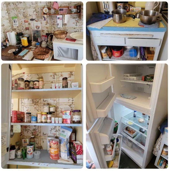 Kitchen Lot - Vissani Fridge, Cupboard and Pantry Contents