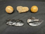 Rocks. Fossils. Stone Balls, Trilobite, Arrowhead more