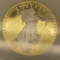 American Gold Eagle 24kt Gold Plated Replica Collector Coin in Slab