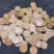 Wheat Cent Huge Lot Over 350 Grams Unsearched Over 100 Coins