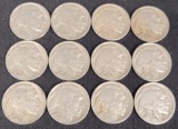 Buffalo Nickel Lot of 12 With Dates