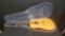 Dean Tradition SE GN Acoustic guitar w/hard case