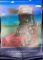 T.C.Cannon Memorial Exhibition Native American Art Posters