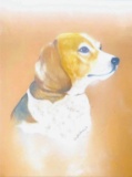 Framed Art Beagle from W. Nackman