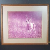 Deer in the Wild Framed Photograph, from Thomas D. Mangelsen, 1982