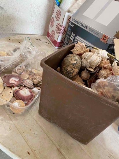 Bin full of various sea shells