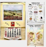 1952 7-up Calendar, Vintage Frog Anatomy and Parasites Science Posters.