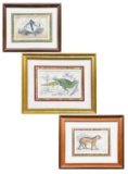 3 Framed Animal Art Copper Plate Engravings