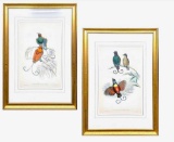 2 Original Hand- colored Lithographs from Che Birds of New Guinea by John Gould