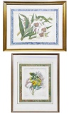 Framed Art Paxtons Flower Garden, John Lindley, Joseph Paxton, and Lindenia Orchid