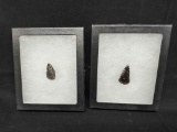 Mahogany Obsidian Gem Points Arrowheads from the Snake River region of Idaho & Washington