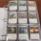 binder of Magic the gathering cards