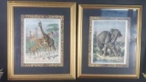 2 Framed safari animal art prints W/signature